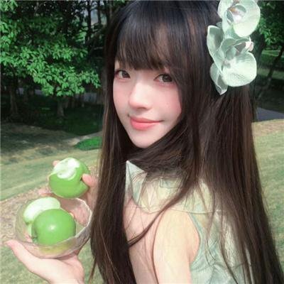 花丸幼稚园封面